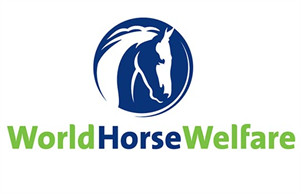 World Horse Welfare