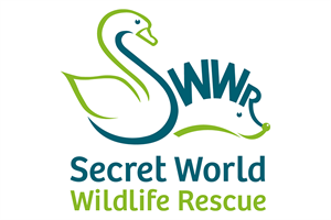 Secret World Wildlife Rescue