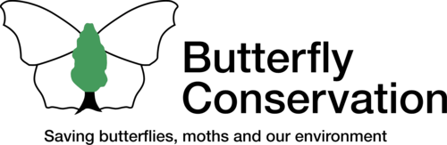 Butterfly Conservation